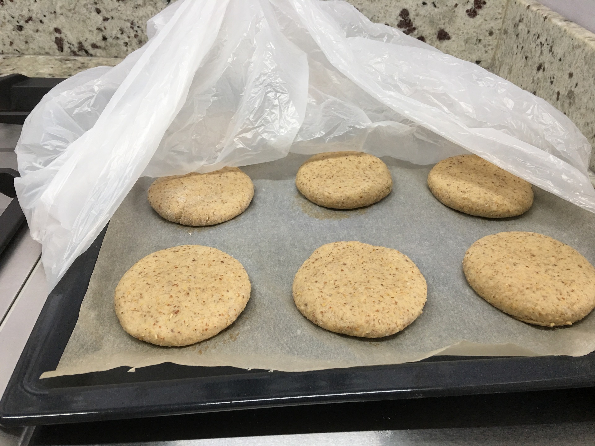Proofing Fiberflour Bread Rolls content media