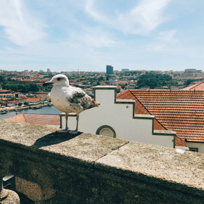 When in Portugal
