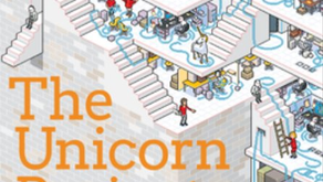 The Unicorn Project