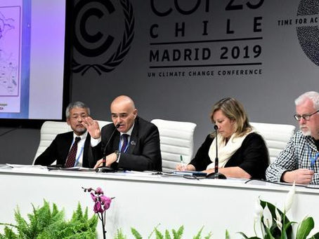 COP25: Destacan potencial de las Turberas y humedales de la Amazonía peruana para enfrentar el cambi