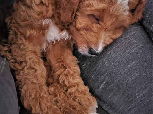 Hope Everyone is Doing Well