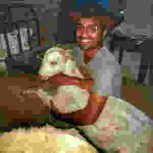 Goat hugging a man