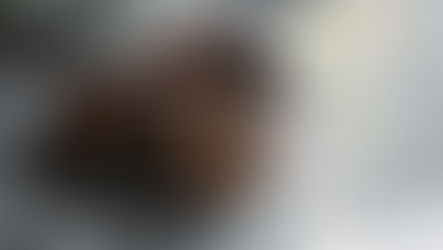 Episode 15: Alice's Happy Day Part 2