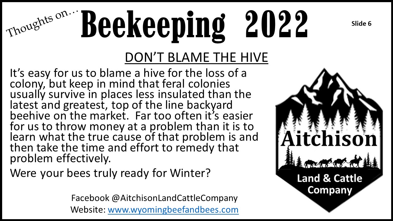 Thoughts on Beekeeping, Slide 6 - Don't Blame the Hive content media