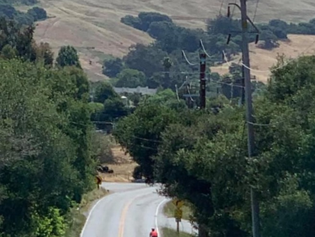 Road Biking-Old Mount Madonna Road