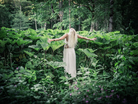 Taimed meie abivägi