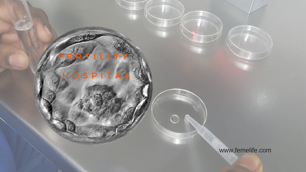 Blastocyst Culture