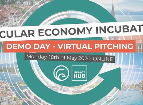 Unsere Erfahrung am Virtual Demo-Day