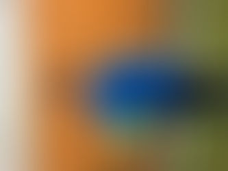新ウェアが仲間入り