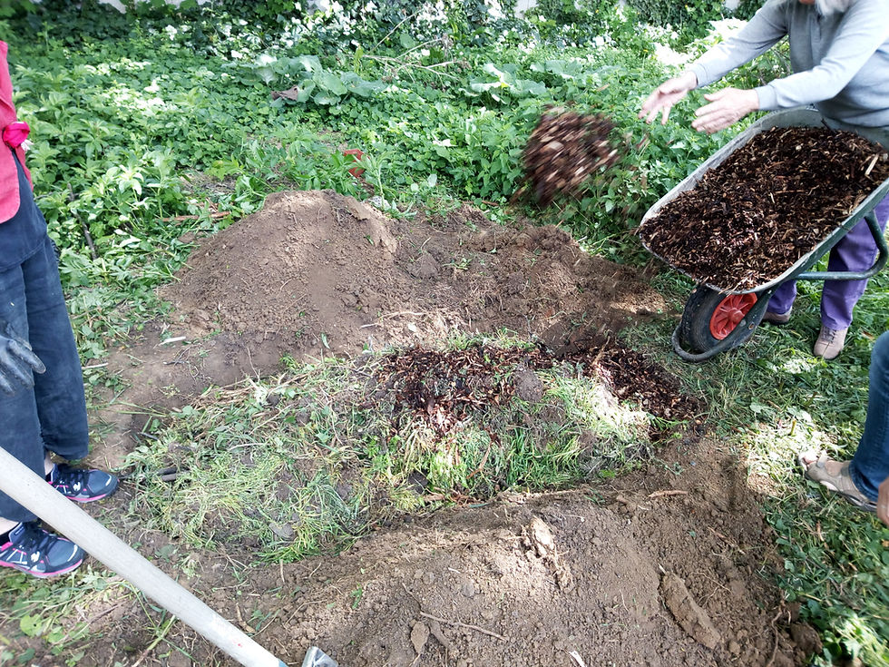 Les journées de formation "Potagers ensemble"