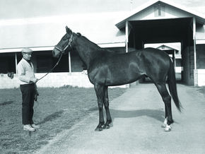 Kelso: Five Time Horse of the Year