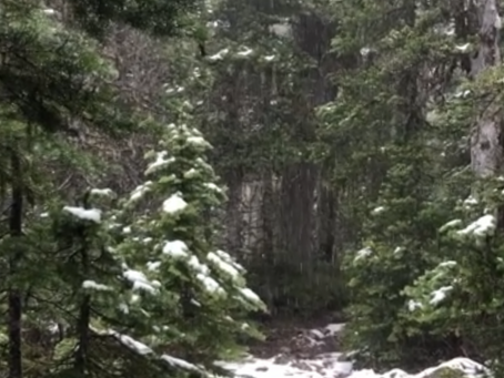 Mount Buckhorn