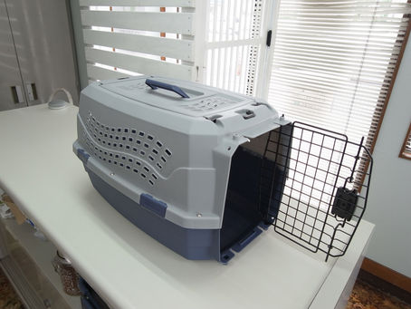 大きいキャリー購入しました