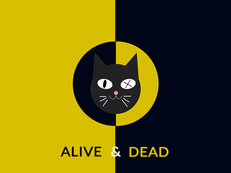 Why did Schrodinger put a cat in the box?