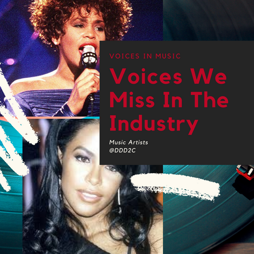 Voices Missed In The Industry