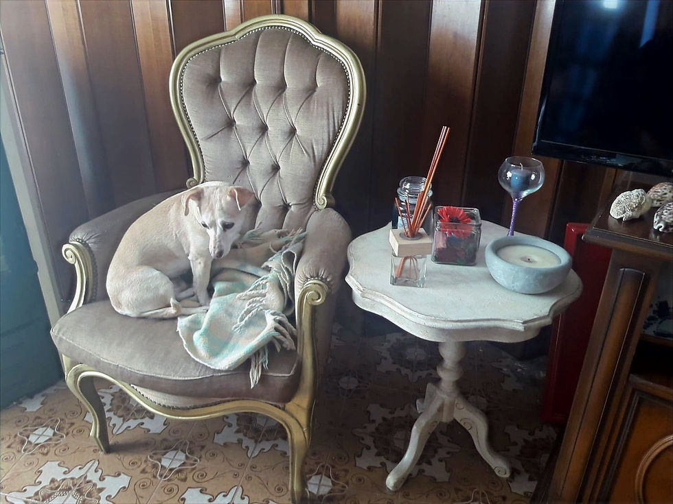 Il tavolino di Molly