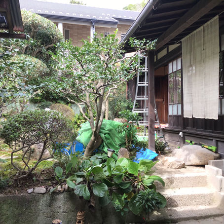 ギャラリー準備中