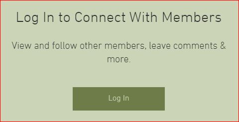 Comments about posting to this "Bee Blog"
content media