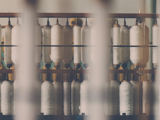 A Guide to Sustainable Plant-Based Fibres