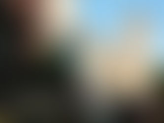 Introductions: Personal and Institutional