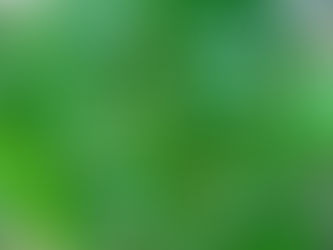 PecanSolution e Innovak do Brasil fecham parceria