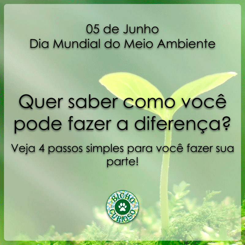 preserve a natureza, dia mundial do meio ambiente