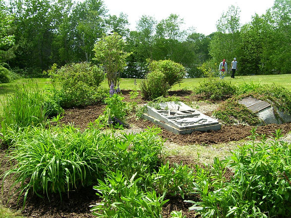 Field of Peace.jpg
