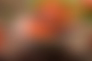 Zdravá rajská omáčka