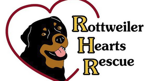 Love Like a Rottweiler