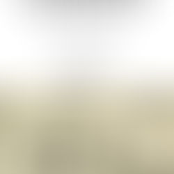 Captain Ben Forbes & the Errand of Mercy