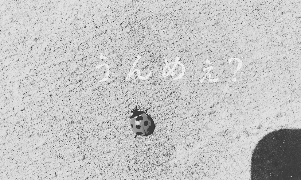 運命に唾ハケ。