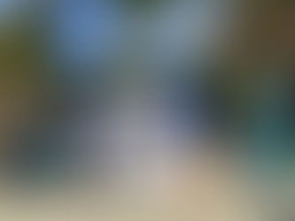 음식으로 통일을 알리는 '통일페스티벌'