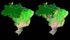Em três décadas, Brasil perde 71 milhões de hectares de florestas