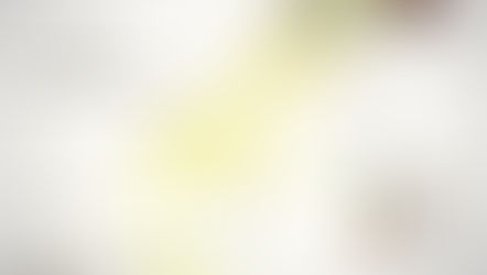 CURRENT STATE OF FORESTS IN PAKISTAN