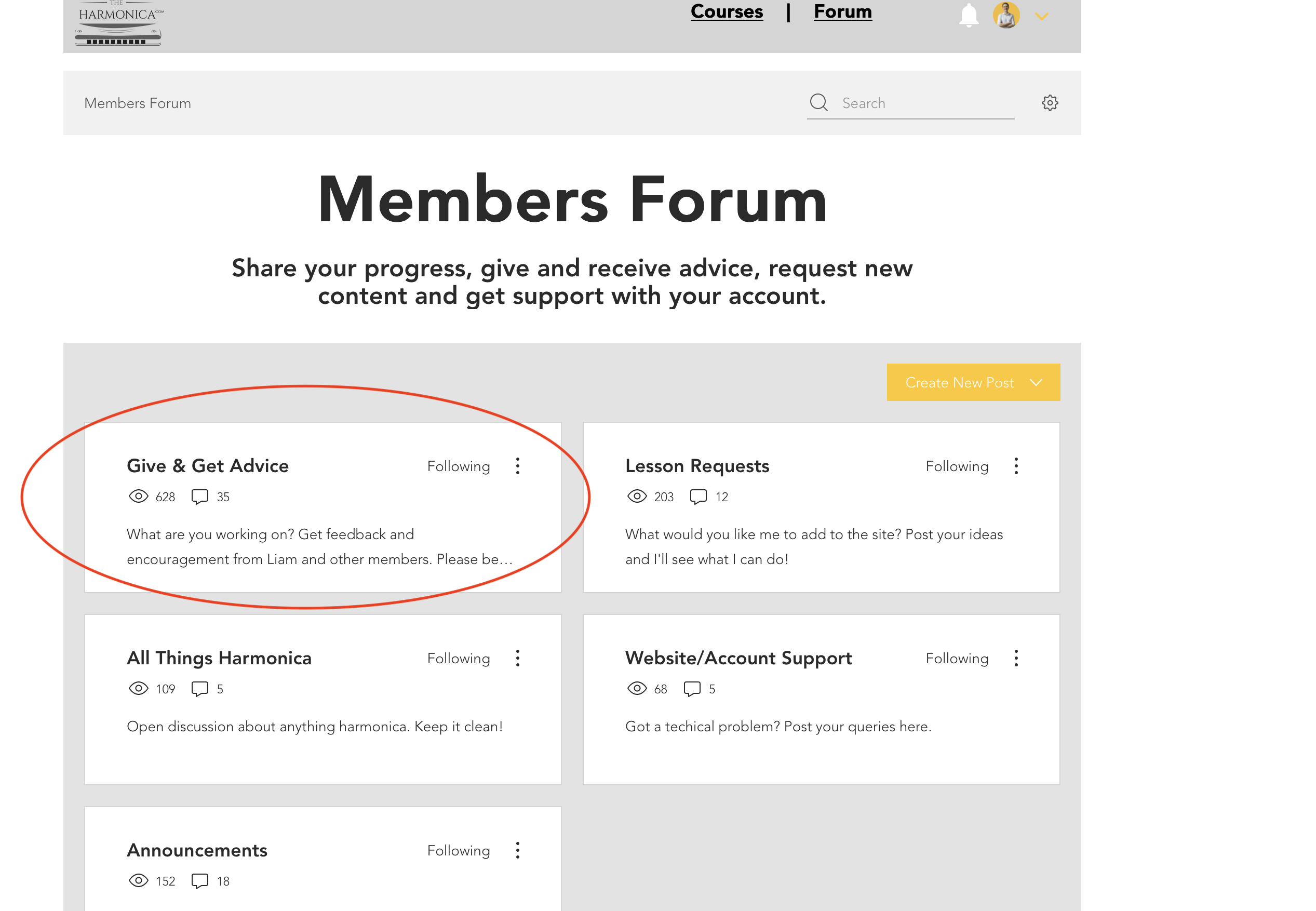 How to Post in the Forum content media