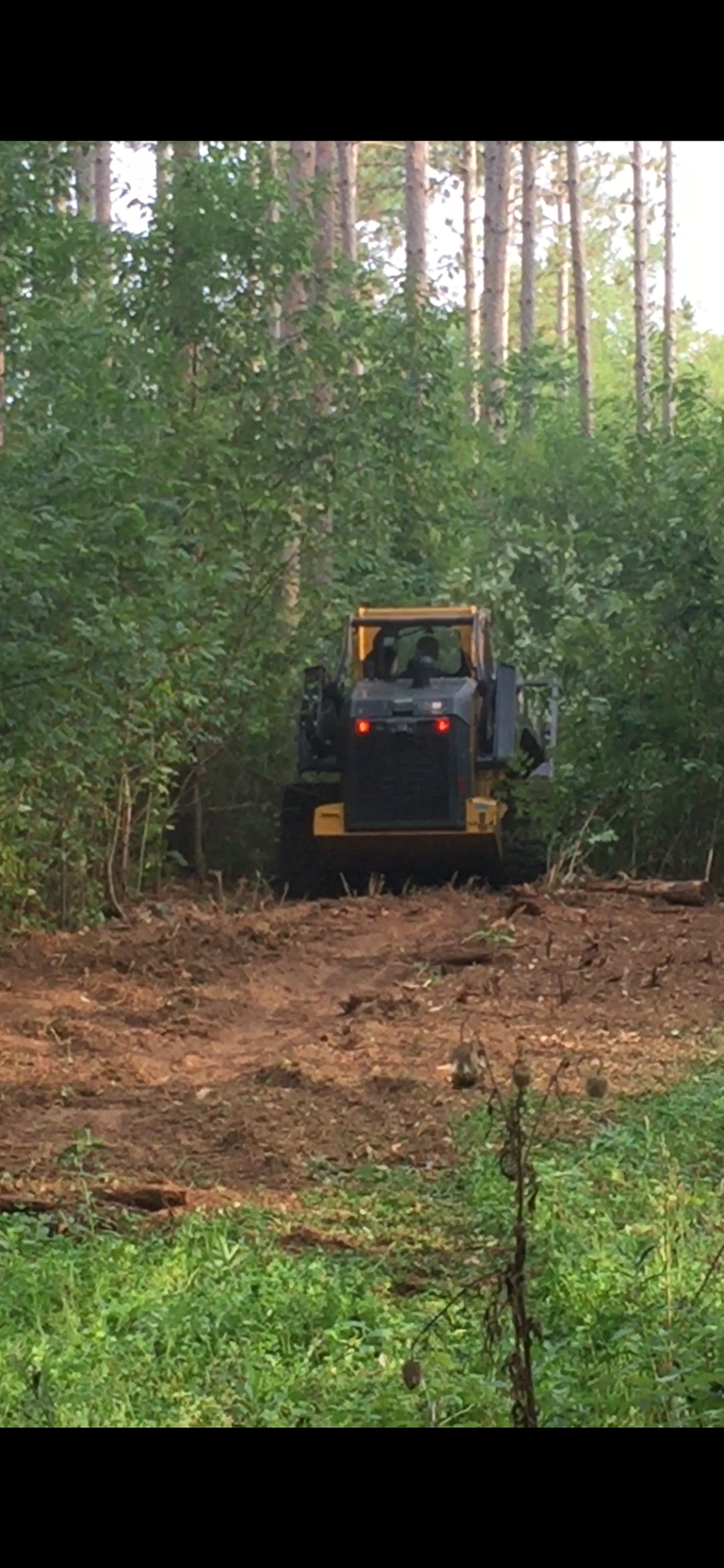 Land clearing and food plots content media