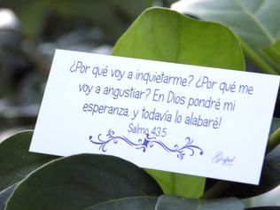 Día 51:Por qué voy a inquietarme? por qué voy a angustiarme? En Dios pondré mi esperanza Salmo 43:5