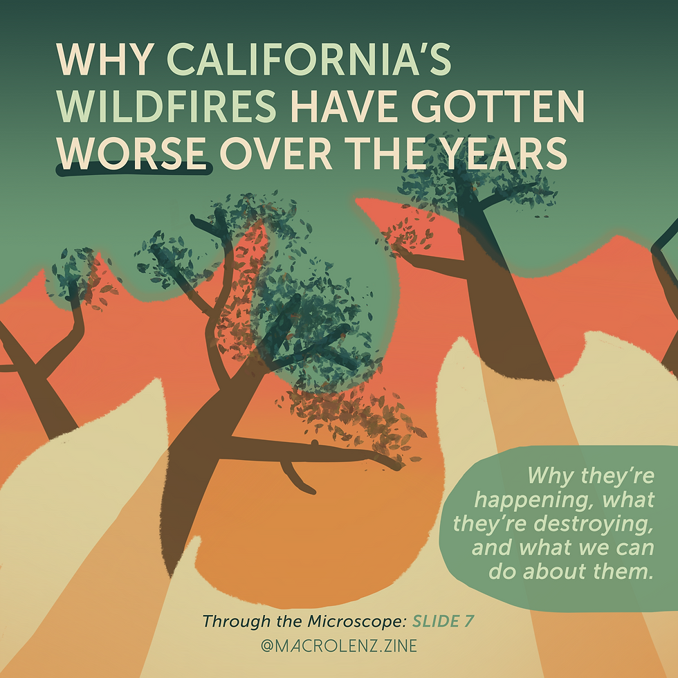 Why California's Wildfires Have Gotten Worse Over The Years