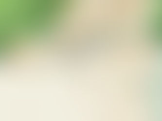 No Way! - Chapitre 2