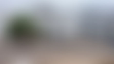 Un fallecido y varios heridos deja riña en la cárcel de Bahía de Caráquez