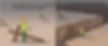 ree