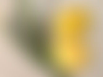 Simmer Pot Potion for Happiness