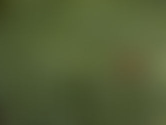 What makes us stand out? Why are we the right choice?