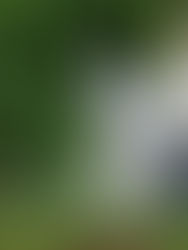 Relatos de uma vida!