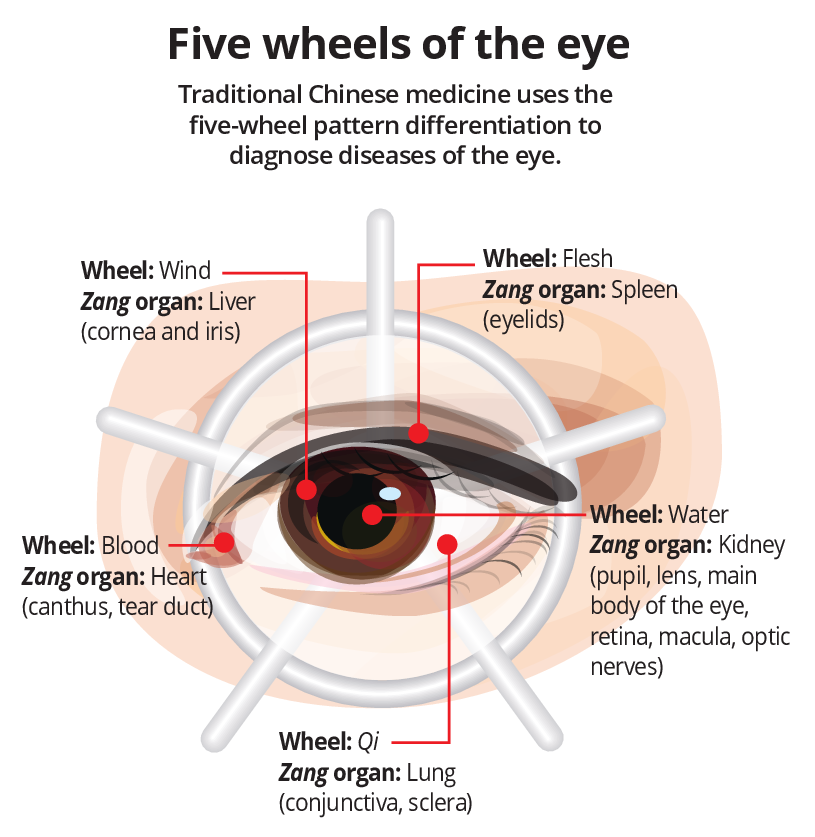 Diagnostic des yeux en médecine chinoise