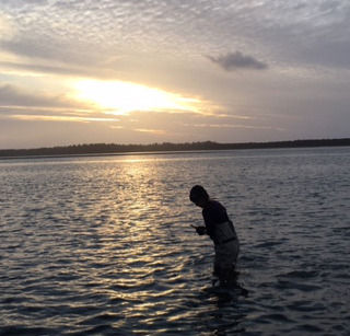 Why Oysters and Carbonate Chemistry?