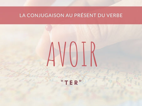 Conjugação do Verbo Avoir e Exemplos com ele!