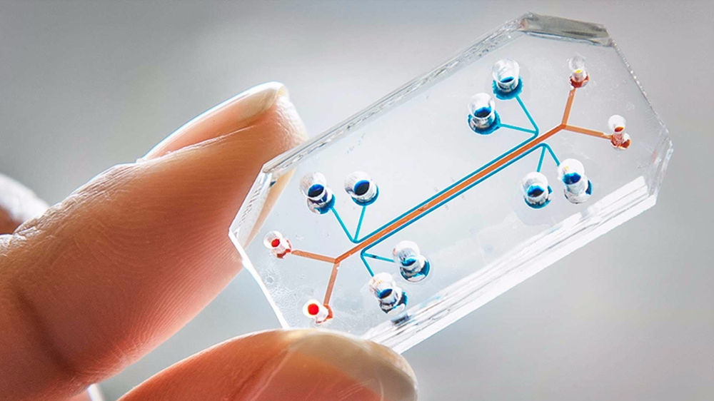 The future of microfluidic pointofcare diagnostics alliancehealthplus