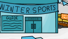 Winter Sports Festival Coming January 21st!