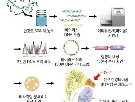 Microbiome 논문에 대한 한국연구재단 보도자료(전체)